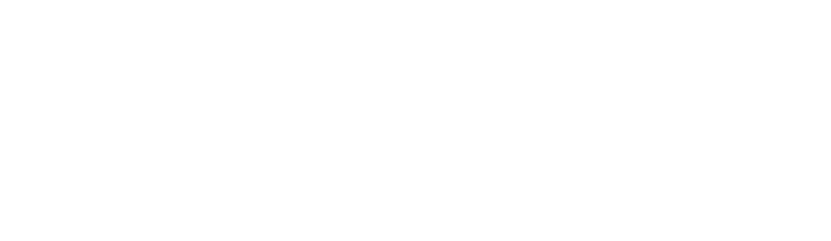 Nancy Walsh Real Estate Logo Transparent WHITE